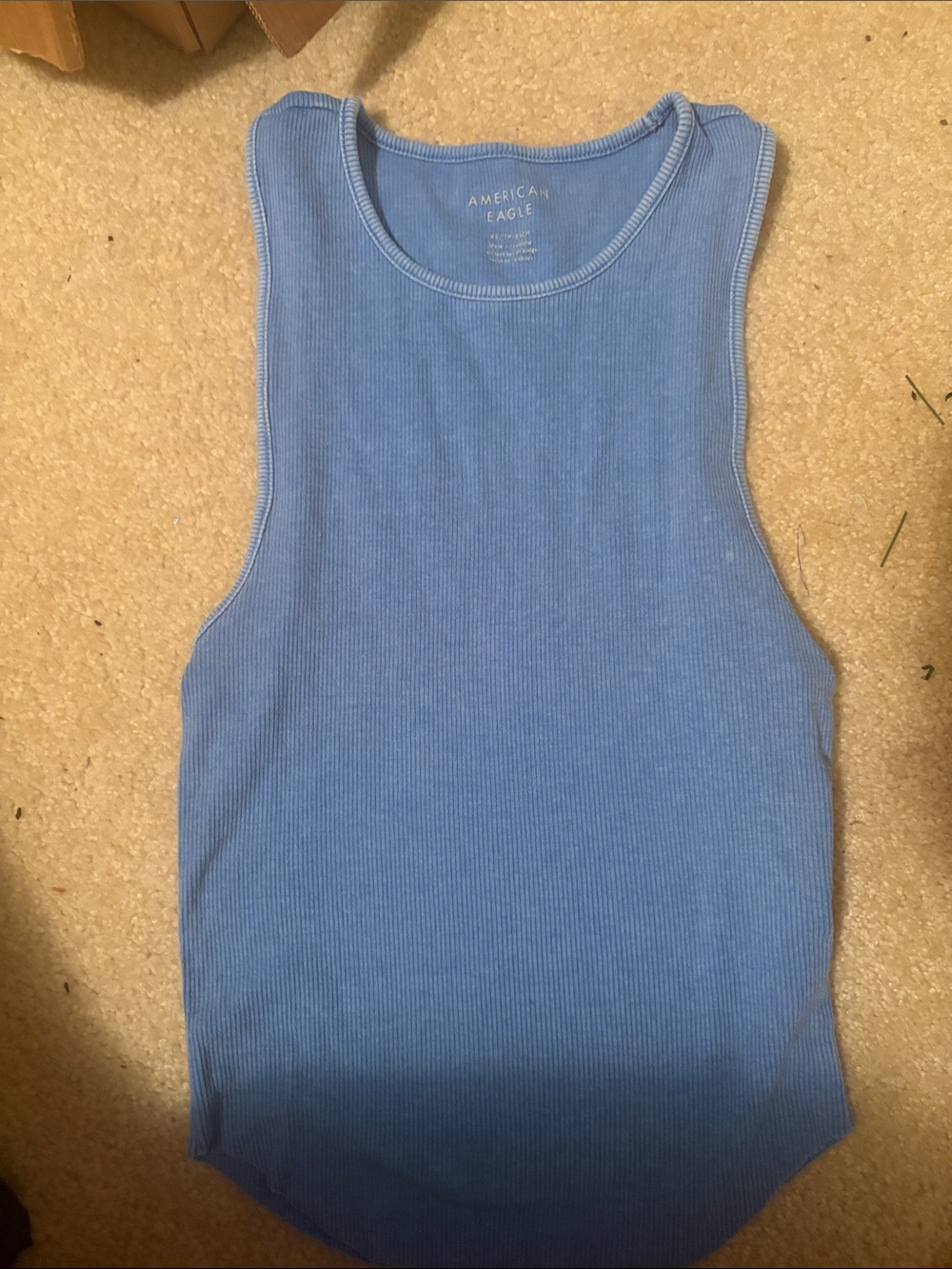 American Eagle Outfitters Blue Ribbed Tank Top